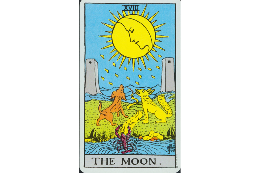 Ý Nghĩa Lá Bài The Moon Trong Tarot Theo Chuẩn Rider Waite Smith -  Topshare.Vn