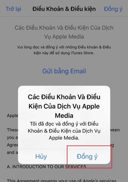 Bấm đồng ý điều khoản dịch vụ