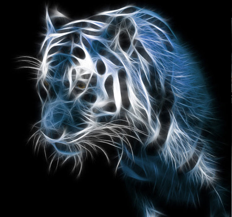 Hình ảnh đẹp 3D về hổ