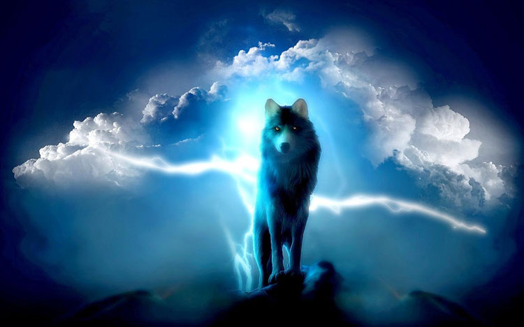 Hình ảnh đẹp 3D sói