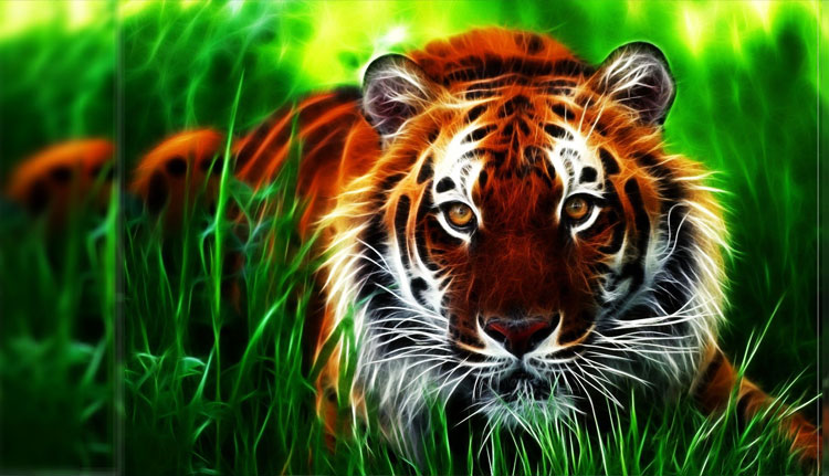 Hình ảnh đẹp 3D hồ trong rừng 