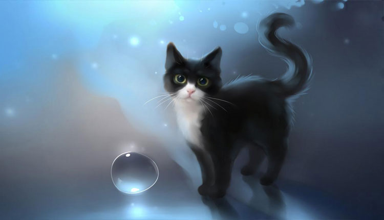 Chú mèo 3d đáng yêu 