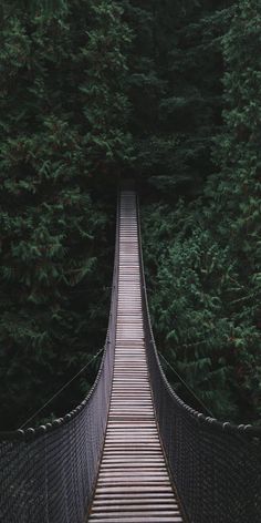 Hình nền điện thoại về cây cầu đẹp