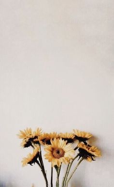 Hình nền hoa đơn giản