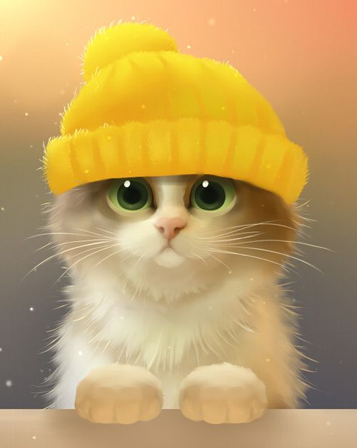 TOP 100+] Hình ảnh mèo Cute đẹp, dễ thương nhất hiện nay