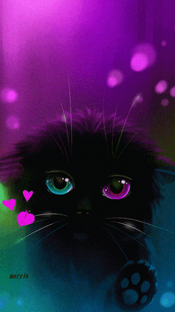 Hình ảnh mèo cute, đáng yêu