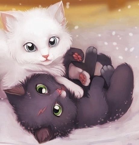 Hình ảnh hai mèo cute đáng yêu