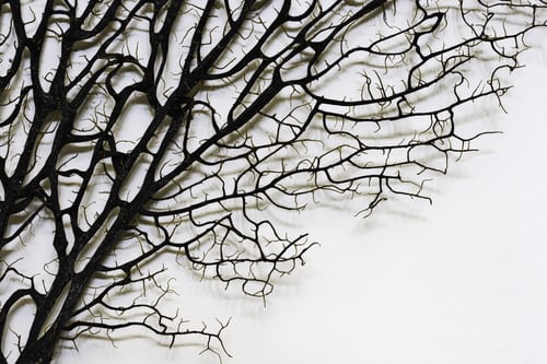 Hình nền trắng máy tính nghệ thuật