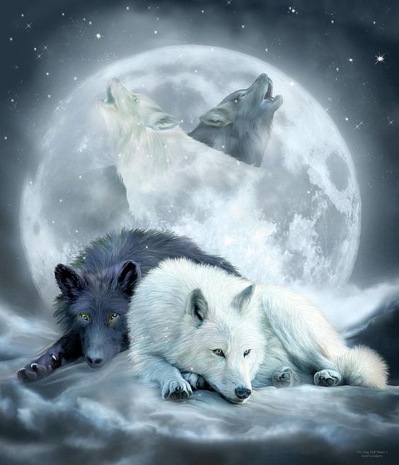 Hình nền sói 3D: Với hình nền sói 3D, bạn sẽ được trải nghiệm những hình ảnh đẹp và sống động về loài sói. Tận hưởng sự thật như đang được trải qua với hình ảnh 3D độc đáo và đầy màu sắc của loài vật hoang dã này.