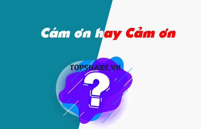Cám ơn hay cảm ơn là đúng chính tả? 86% dùng sai 2 Cám ơn hay cảm ơn là đúng chính tả?