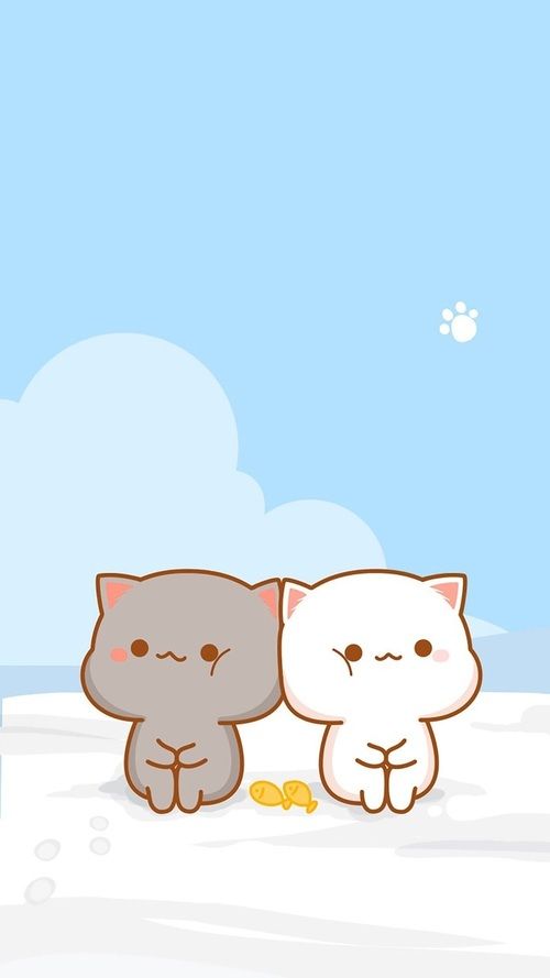 Hình nền điện thoại cute về 2 chú mèo đáng yêu