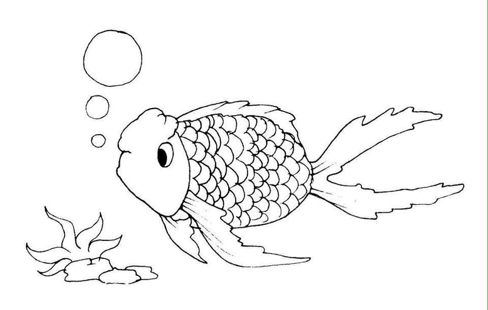 Tranh tô màu cá các đẹp ngầu