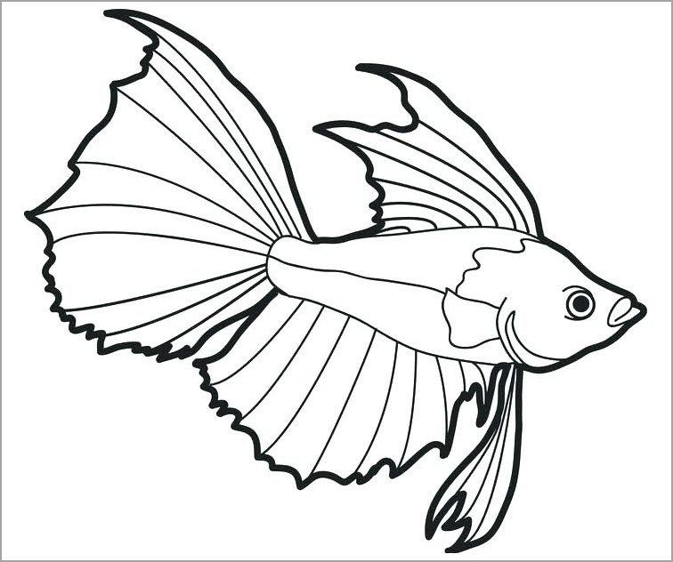 Drawing Manta Ray Tattoo Vẽ Cá đuối Manta  YouTube