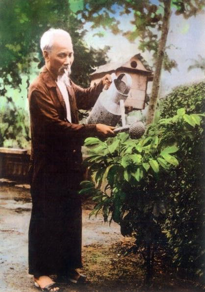 Hình ảnh đời thường của Bác Hồ