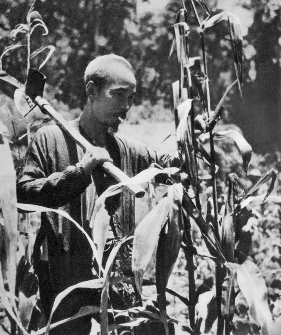 Hình ảnh đời thường của Bác Hồ