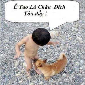Top 200+ Hình ảnh hài hước bá đạo nhất, độc nhất, lạ nhất hiện nay 127 Top 200+ Hình ảnh hài hước bá đạo nhất, độc nhất, lạ nhất hiện nay 63