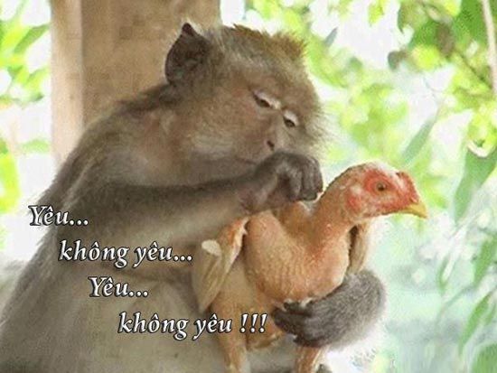 Top 200+ Hình ảnh hài hước bá đạo nhất, độc nhất, lạ nhất hiện nay 135 Top 200+ Hình ảnh hài hước bá đạo nhất, độc nhất, lạ nhất hiện nay 71
