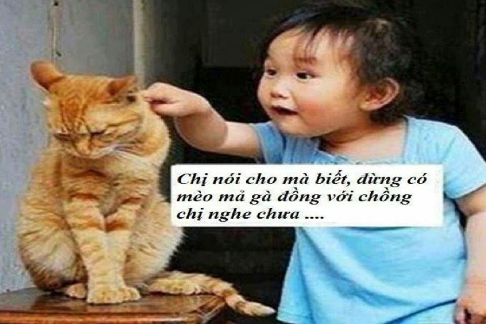 Top 200+ Hình ảnh hài hước bá đạo nhất, độc nhất, lạ nhất hiện nay 138 Top 200+ Hình ảnh hài hước bá đạo nhất, độc nhất, lạ nhất hiện nay 74