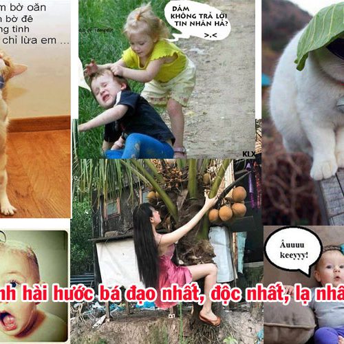 hình ảnh hài hước bá đạo