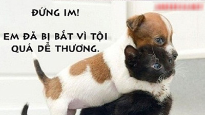 Top 200+ Hình ảnh hài hước bá đạo nhất, độc nhất, lạ nhất hiện nay 159 Top 200+ Hình ảnh hài hước bá đạo nhất, độc nhất, lạ nhất hiện nay 89