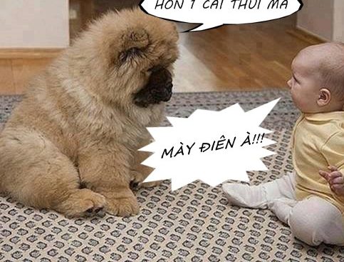Top 200+ Hình ảnh hài hước bá đạo nhất, độc nhất, lạ nhất hiện nay 151 Top 200+ Hình ảnh hài hước bá đạo nhất, độc nhất, lạ nhất hiện nay 82