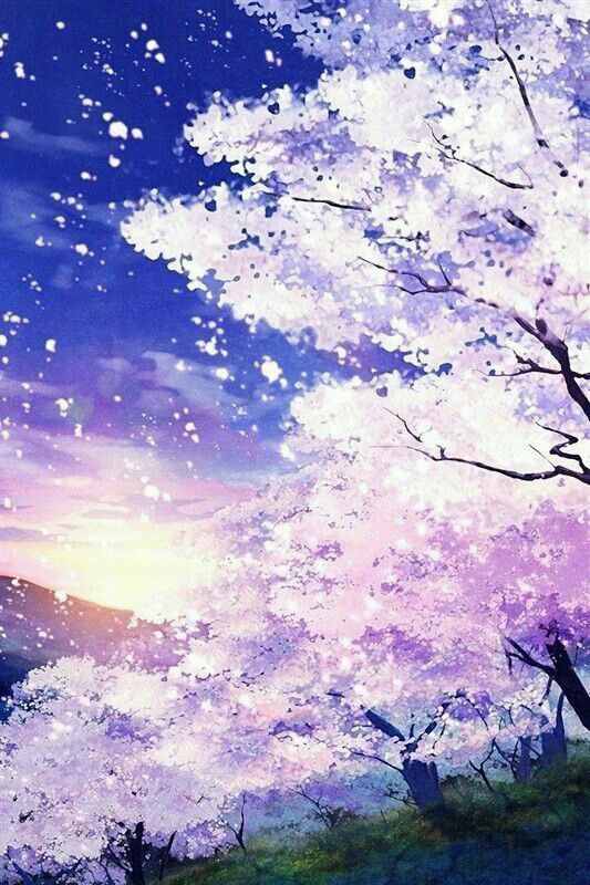 Nếu bạn yêu thích anime và phong cảnh đẹp, không thể bỏ qua bức tranh anime phong cảnh hoa anh đào này. Với những bông hoa anh đào trắng tinh khôi và những tòa nhà phồn hoa trong phong cảnh đầy lãng mạn này sẽ làm cho bạn cảm thấy bình yên và thư giãn.