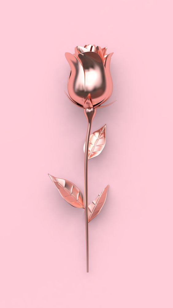 Chia Sẻ Hình Nền Iphone  Ipad  Pc Đẹp  Hình nền hoa hồng tím và ý nghĩa  của chúng  httpwwwhinhnenme201506hinhnenhoahongtimvaynghiachohtml   Facebook