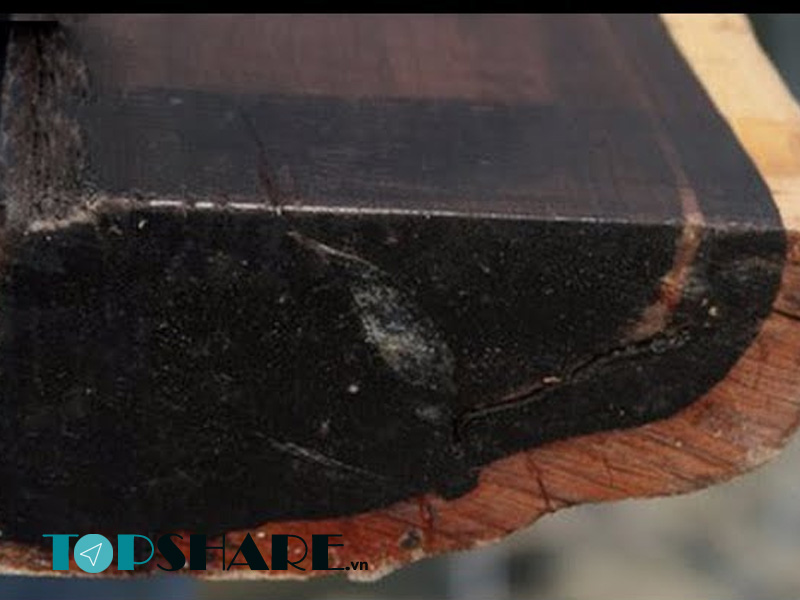 Gỗ Sưa đen là gì? Đặc điểm, Ưu nhược điểm của gỗ Sưa đen 8 Nhận dạng gỗ sưa đen dựa vào màu sắc