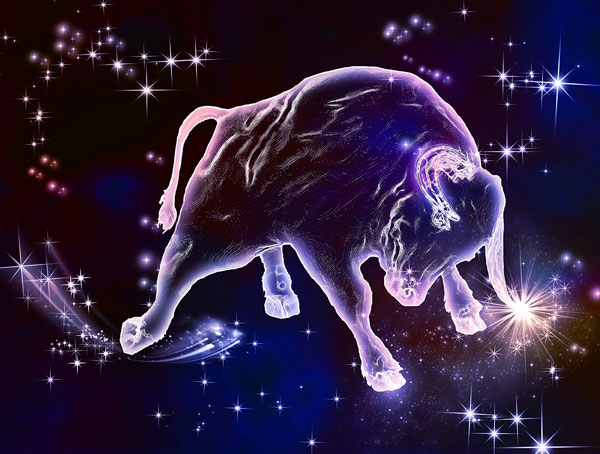 Giải mã bí mật 12 cung hoàng đạo theo ngày sinh chính xác nhất 28 Cung Kim Ngưu (Taurus)