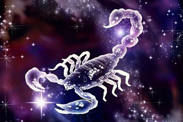 Giải mã bí mật 12 cung hoàng đạo theo ngày sinh chính xác nhất 34 Cung Thiên Yết (Scorpion)