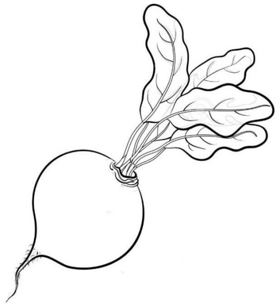 [TOP 20+] Mẫu Tranh Tô Màu Rau Củ Quả đẹp Dành Cho Bé 2026