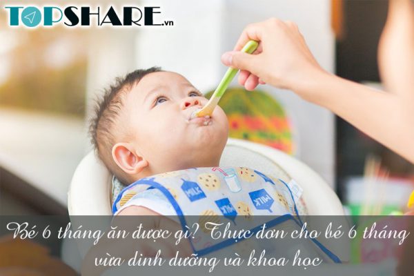 Bé 6 tháng ăn được gì? Thực đơn cho bé 6 tháng vừa dinh dưỡng và khoa học