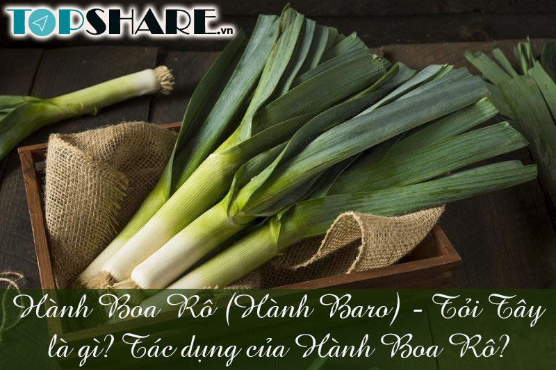 Hành Boa Rô (Hành Baro) - Tỏi Tây là gì? Tác dụng của Hành Boa …