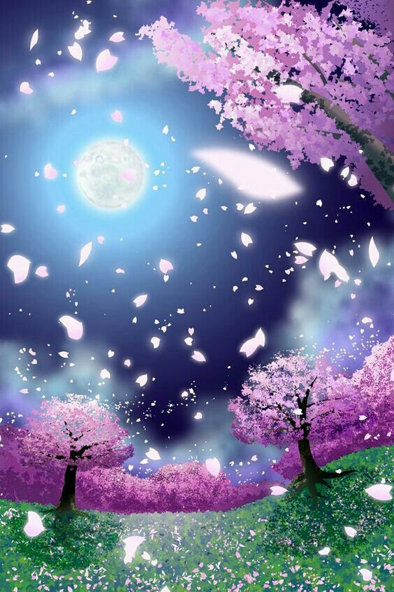 Hình nền  Ánh sáng mặt trời cây phong cảnh rừng nghệ thuật số Hoàng  hôn đêm Anime Nước thiên nhiên không gian Tòa nhà Sự phản chiếu Bầu  trời màu tím