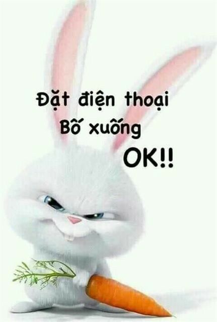 Top 30+ Hình nền cute có chữ đáng yêu - Hình ảnh cute có chữ đẹp nhất 2022 22 Top 30+ Hình nền cute có chữ đáng yêu - Hình ảnh cute có chữ đẹp nhất 2022 19