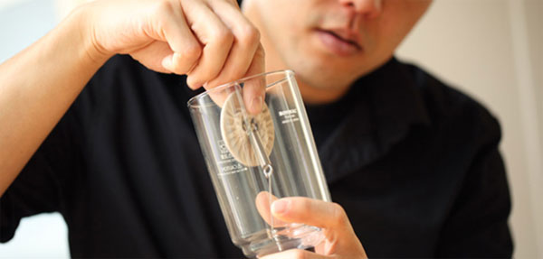 Tẩy rửa tấm lọc của bình pha chế cà phê Syphon Hario 3 cup thường xuyên để đảm bảo chất lượng cà phê.