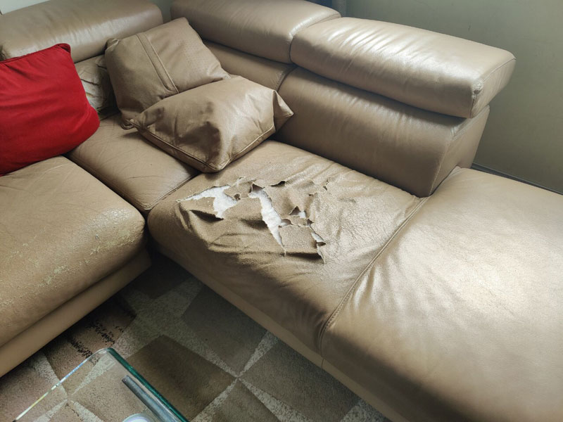 Đối tượng nào cần bọc lại ghế sofa.