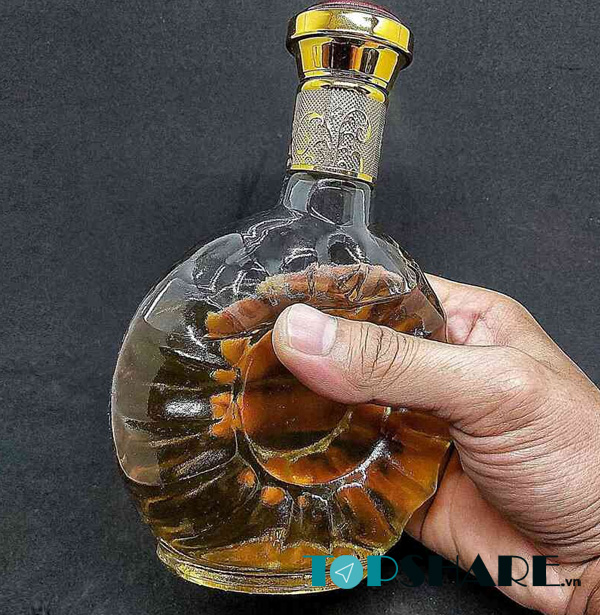 Top 15+ Mẫu chai thuỷ tinh 250ml đẹp, chất lượng, giá tốt nhất 2022 9 Chai thuỷ tinh 250ml đựng rượu dẹt nắp đỏ