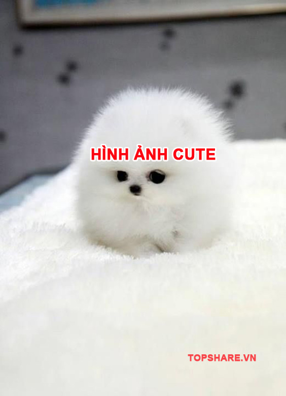 Hình ảnh Cute