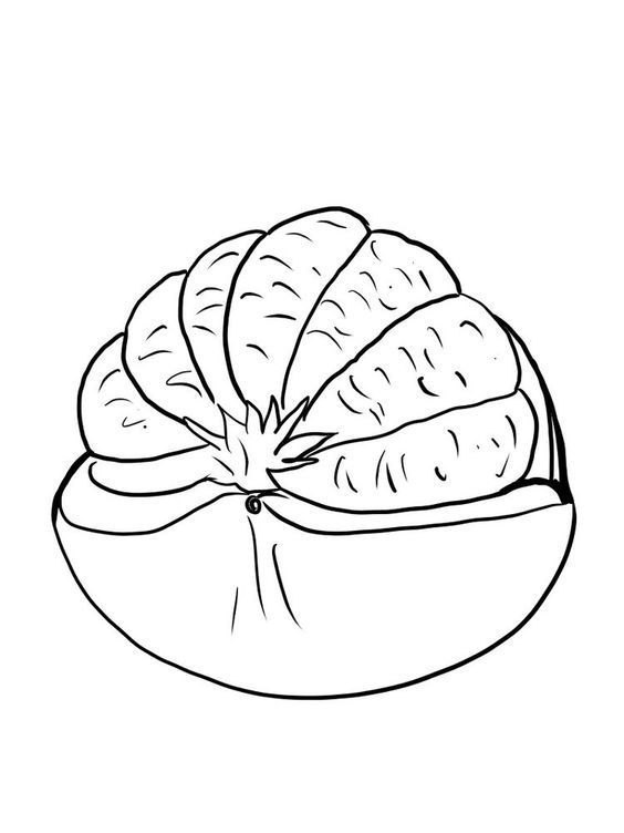 [TOP 30+] Hình ảnh tranh tô màu hoa quả đẹp, đầy đủ nhất [timect] 44