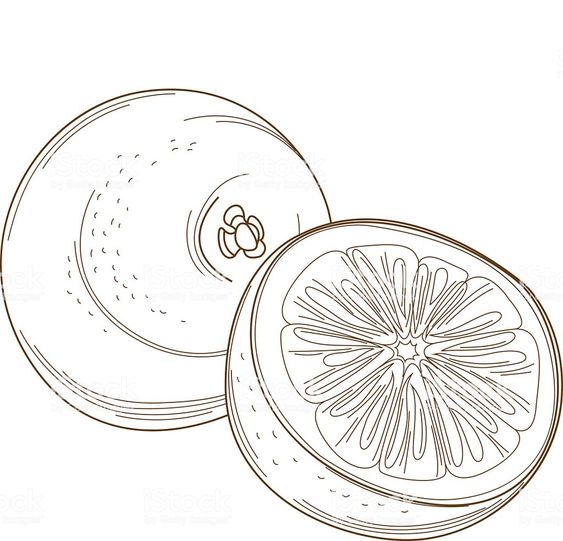 [TOP 30+] Hình ảnh tranh tô màu hoa quả đẹp, đầy đủ nhất [timect] 46