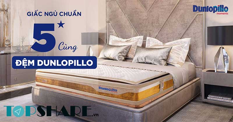 Top 4 mẫu nệm Lò Xo Dunlopillo chất lượng nhất 2022 2 Giới thiệu về Nệm lò xo Dunlopillo
