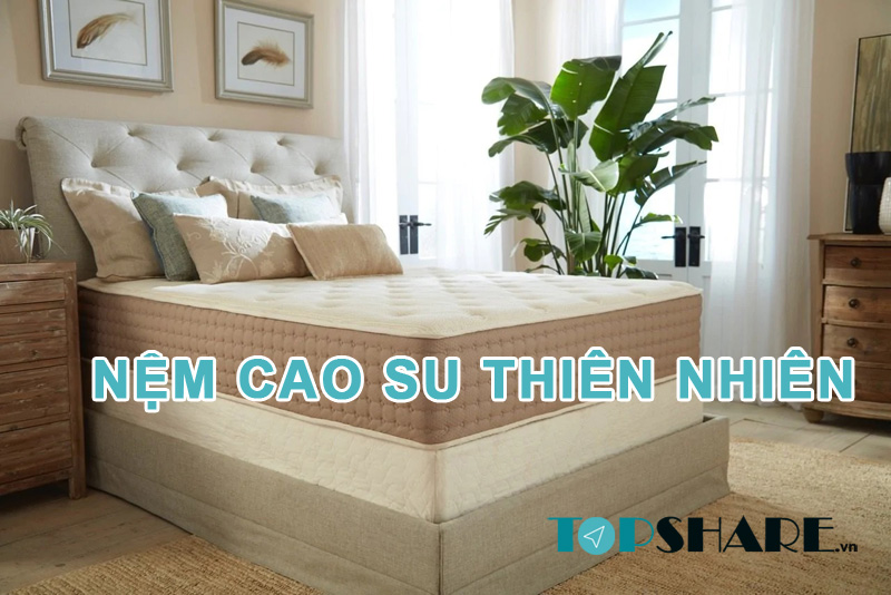 Nệm cao su thiên nhiên