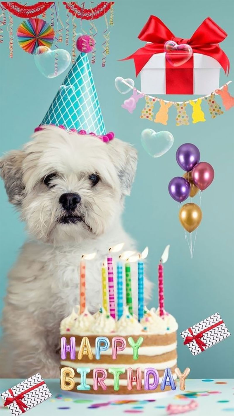 Hình ảnh chúc mừng sinh nhật cho người yêu thích động vật