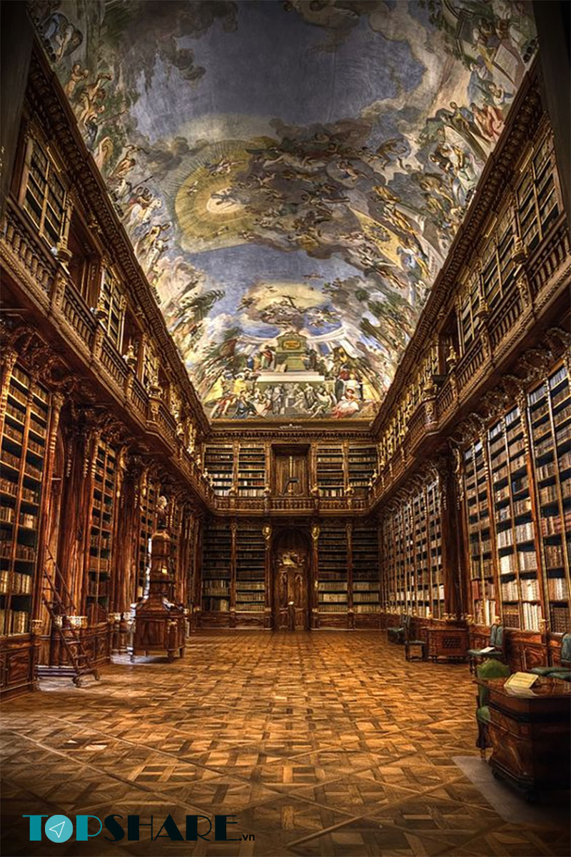Hình ảnh thư viện đẹp có gì thú vị?