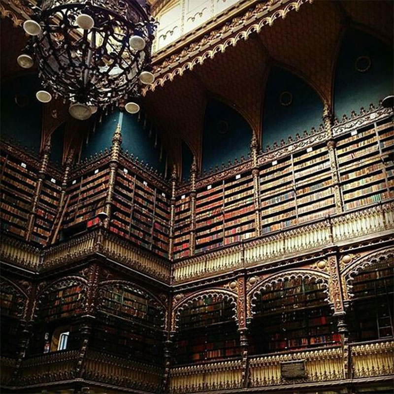 Hình ảnh thư viện siêu đẹp