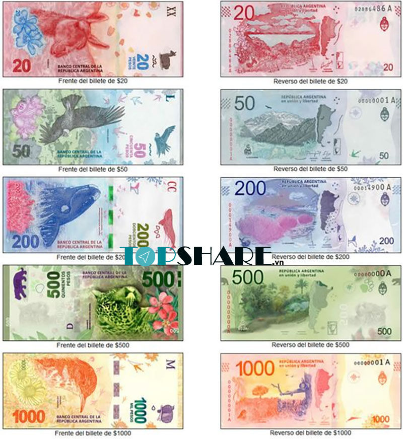 Hình ảnh tiền giấy Peso Argentina