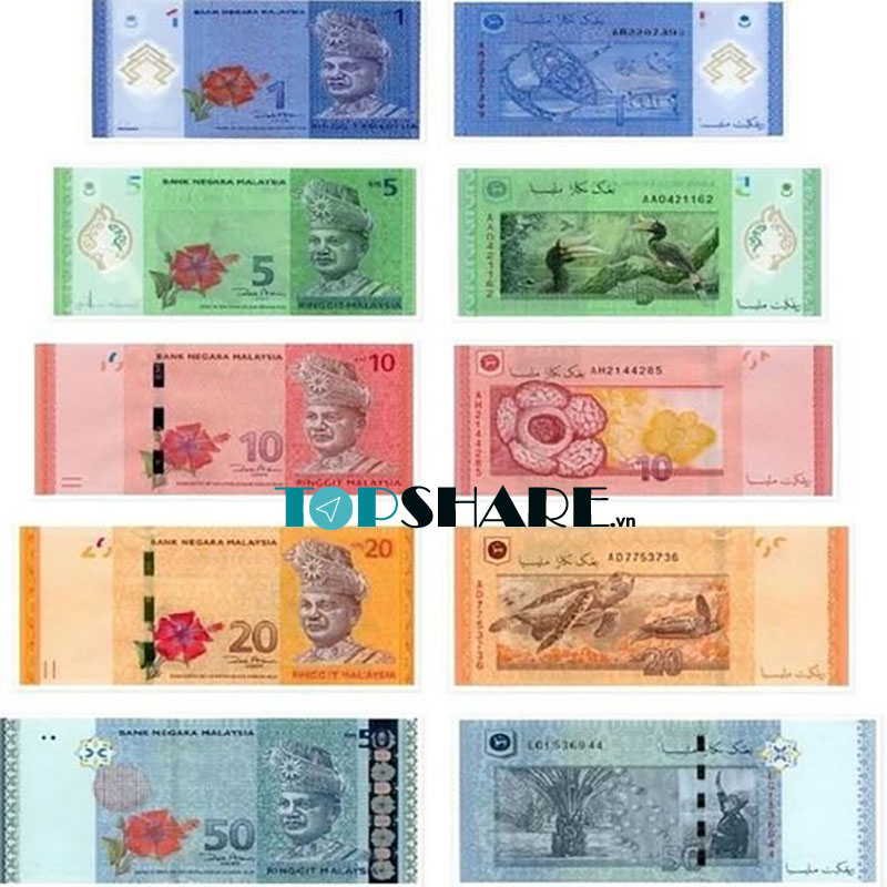 Hình ảnh tiền giấy đồng Ringgit Malaysia
