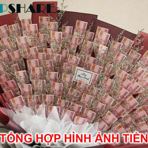 Tổng hợp 99+ hình ảnh tiền Việt Nam và tiền quốc tế mới nhất