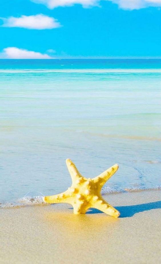 Hình nền chill biển cát trắng